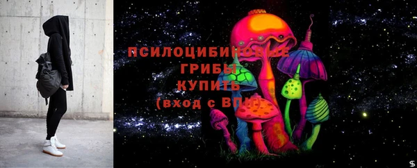 spice Михайлов