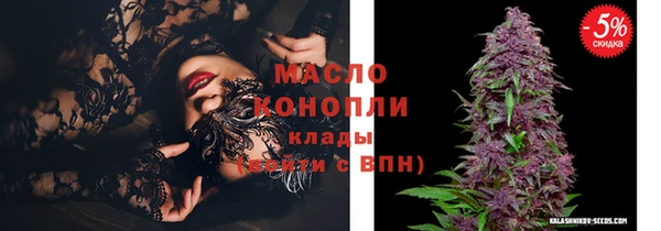 spice Михайлов