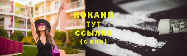 spice Михайлов
