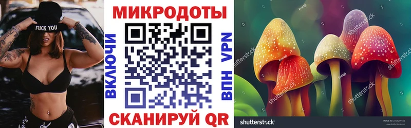 Галлюциногенные грибы Psilocybine cubensis  Куйбышев 