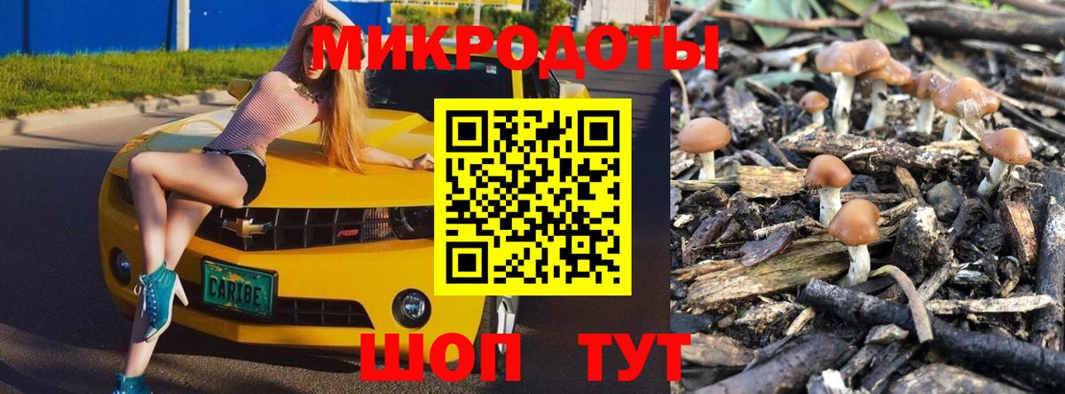 Псилоцибиновые грибы Magic Shrooms  Галлюциногенные грибы Magic Shrooms  Вход с VPN  где найти   Куйбышев 